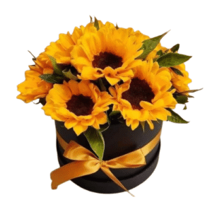 Box de Girasoles Premium
