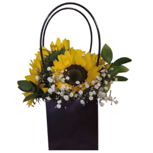 Cartera Black