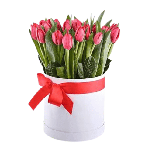 Caja Elegancia de Tulipanes Rosados