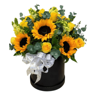 Box De Girasoles en Caja Negra