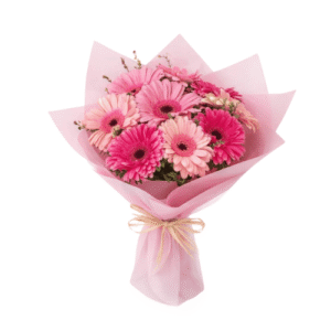 10 Gerberas