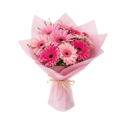 10 Gerberas