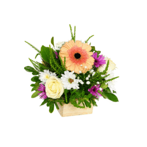 Arreglo de gerbera