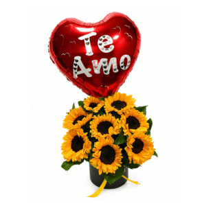 Box de girasoles