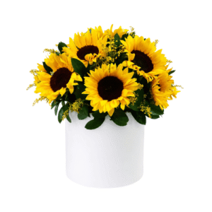 Box redondo de girasoles