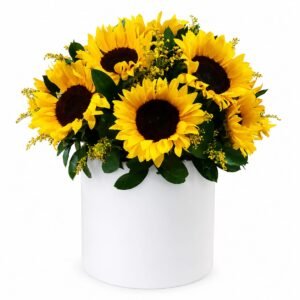 Box de 8 girasoles